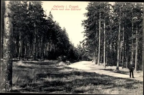 Ak Oelsnitz im Erzgebirge, Waldweg nach dem Rödlitztal