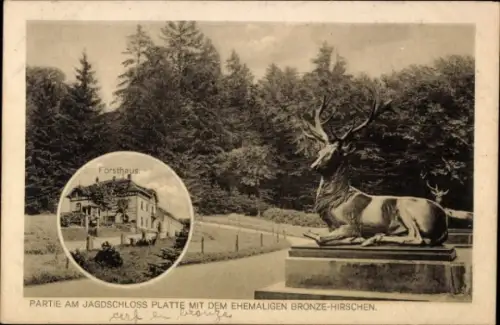 Ak Wiesbaden in Hessen, Jagdschloss Platte, Forsthaus, Bronze-Hirsch