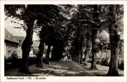 Ak Varel in Oldenburg, Windallee, Wohnhäuser