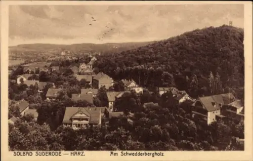 Ak Bad Suderode Quedlinburg im Harz, Stadtpanorama, Am Schwedderbergholz