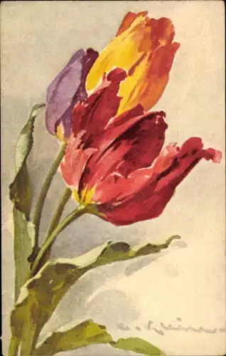 Künstler Ak Klein, Catharina, Tulpen