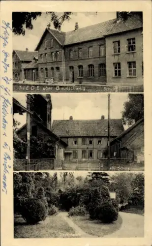 Ak Braunschweig in Niedersachsen, Tiede, Schule, Park