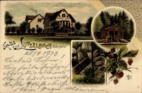 Ak Lützelbach im Odenwald Hessen, Gasthaus zur Sonne, Almhütte, Wildfrauenhaus