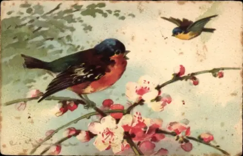 Künstler Ak Klein, Catharina, Vögel, blühende Zweige