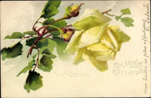 Künstler Litho Klein, C., Blühende Rose
