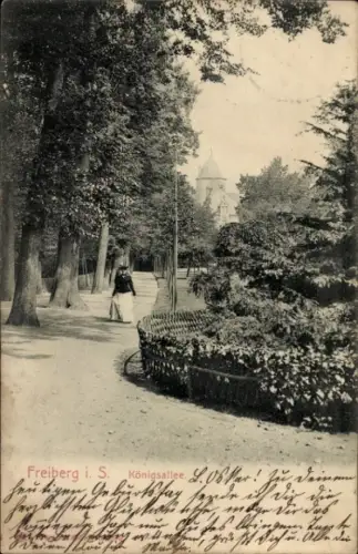 Ak Freiberg in Sachsen,  Königsallee, Parklandschaft, Spaziergängerin