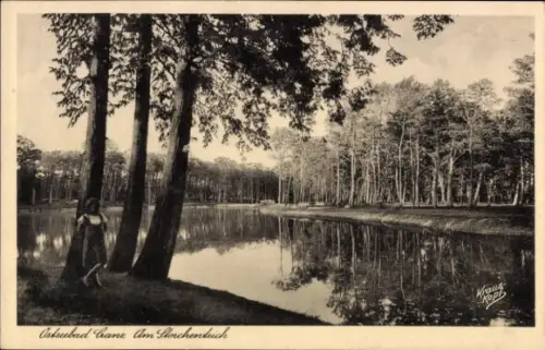 Ak Selenogradsk Ostseebad Cranz Ostpreußen, Storchenteich