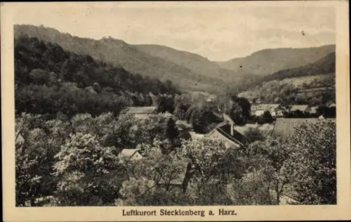 Ak Stecklenberg Thale im Harz, Gesamtansicht
