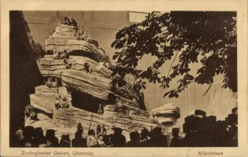 Ak Chemnitz in Sachsen, Zoologischer Garten, Affenfelsen, Tiere auf Felsen, Menschenmenge