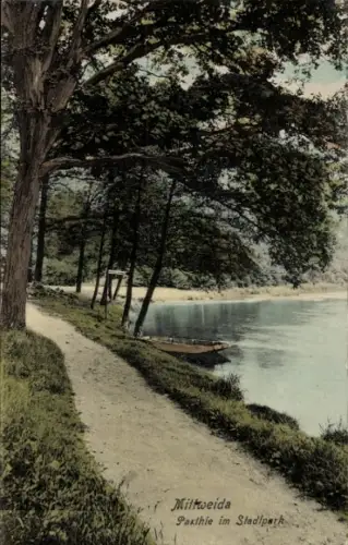 Ak Mittweida in Sachsen, Flusslandschaft, Bäume, Boot, Stadtpark, Mittweida