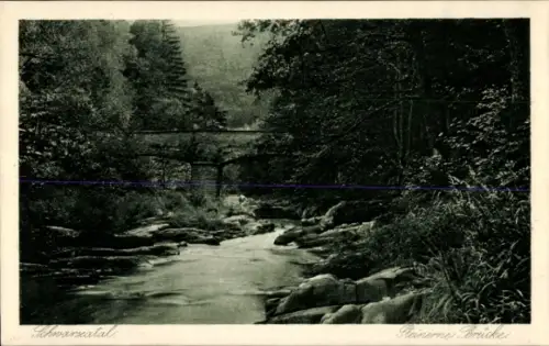 Ak Schwarzburg in Thüringen, Steinerne Brücke