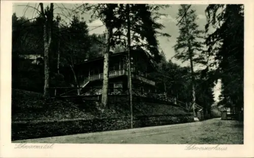 Ak Schwarzburg in Thüringen, Schreinerhaus, Schwameatal, Bäume, Straße, Schwarzburg