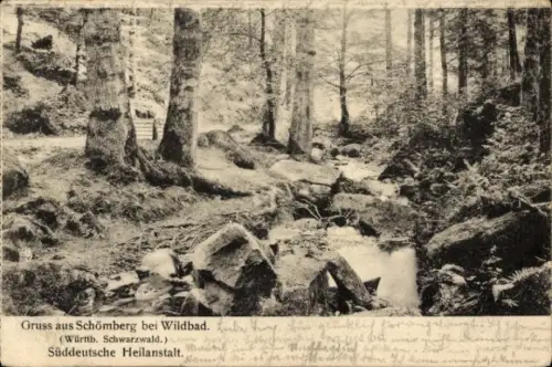 Ak Schömberg (Kreis Calw) im Schwarzwald Württemberg, Schönberg bei Wildbad, Waldlandschaft, Flus