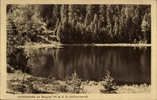 Ak Forbach im Schwarzwald, Schurmsee