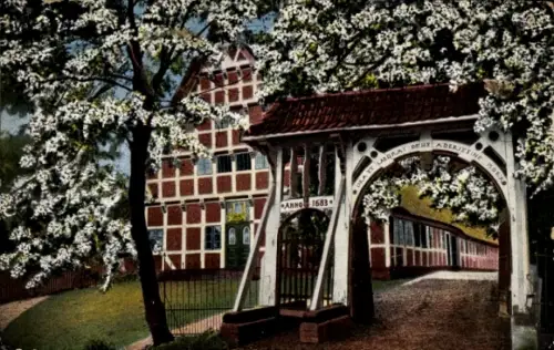 Ak Steinkirchen Altes Land, Kirschblüte, Dampfer, Fachwerkhaus
