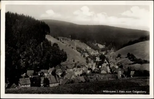 Ak Wildemann Clausthal Zellerfeld im Oberharz, Panoramablick auf  Harz, bewaldete Hügel, nmotiv