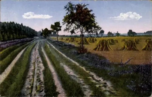 Ak Lüneburger Heide, Landschaft mit Weg, Bäumen, Heu, blühender Heide