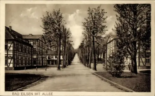 Ak Bad Eilsen Niedersachsen, Bad Eilsen mit Allee, Bäume, Straßenansicht,  Gebäude