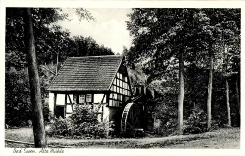 Ak Bad Essen in Niedersachsen,  Alte Mühle, Wassermühle, Natur, Bäume