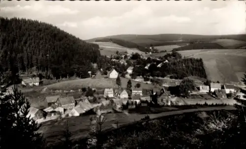 Ak Altenau Clausthal Zellerfeld im Oberharz, Gesamtansicht