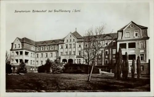 Ak Gryfów Śląski Greiffenberg Schlesien, Sanatorium Birkenhof