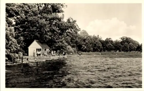Ak Friedrichshafen am Bodensee, Haus am Wasser, Bäume, Menschen am Ufer, Bodensee