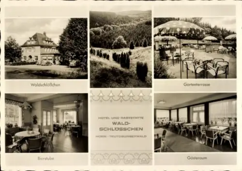 Ak Horn Bad Meinberg am Teutoburger Wald, Hotel Waldschlößchen, Waldbild