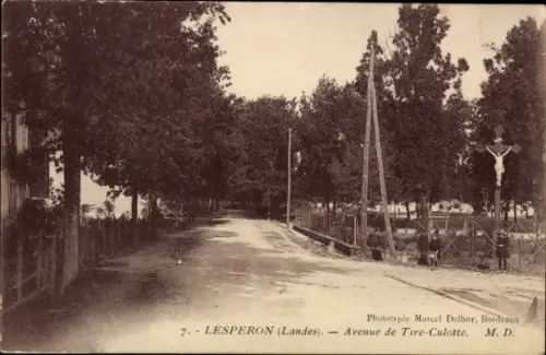 CPA Lesperon Landes, Avenue de Tire Culotte