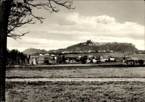 Ak Amöneburg in Hessen, Landschaft mit Hügel,  Bäume im Vordergrund