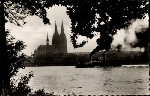Ak Köln am Rhein, Kölner Dom, Fluss mit Dampfschiff, Schwarz-Weiß-Foto