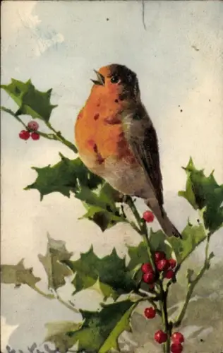 Künstler Ak Klein, Catharina, Rotkehlchen auf einem Stechpalmenzweig