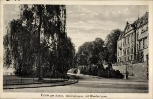 Ak Bonn am Rhein, Bonn am Rhein, Rheinanlagen, Oberbergamt
