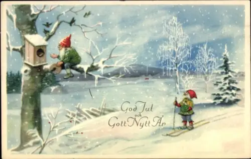 Künstler Ak Nyström, Jenny, Frohe Weihnachten, Fröhliches Neujahr, Zwerg beim Skifahren, Vogelhaus