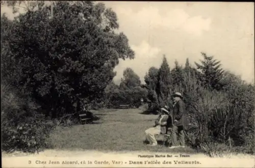 Ak La Garde Freinet Var, Chez Jean Aicard, Dans l'allée des Vallauris