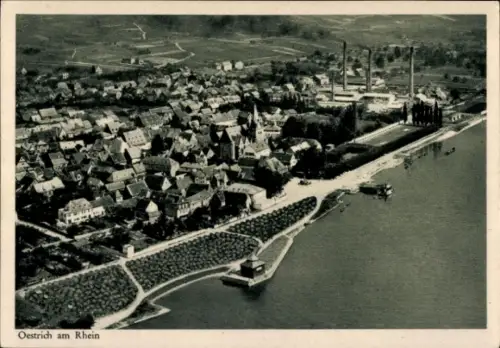 Ak Oestrich Winkel am Rhein Rheingau, Luftbild