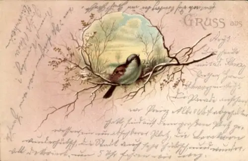 Litho Spatz am Baum, Vogel