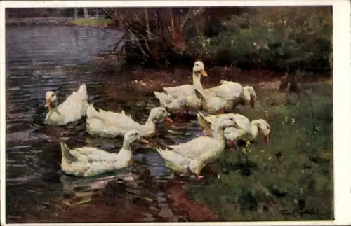 Künstler Ak Enten am Teich