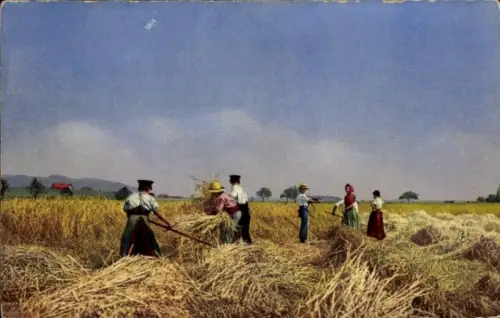 Ak Landwirtschaft, Heuernte, Bauern