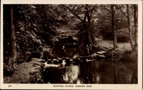 Ak Newcastle upon Tyne England, Jesmond Dene , Stepping Stones,  Fluss, Steine, Bäume, Menschen
