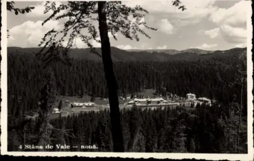 Ak Rumänien, Stana de Vale, Gesamtansicht