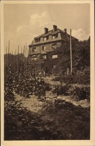Ak Ludwigshafen am Rhein, Haus im Hintergrund, Garten im Vordergrund, Pflanzenreihen sichtbar