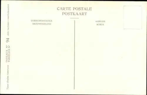 Künstler Ak Dupond, Hub., Larus leucopterus, Polarmöwe