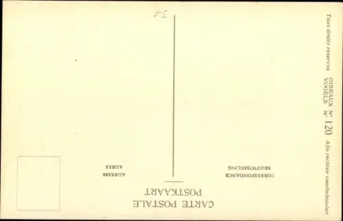 Künstler Ak Dupond, Hub., Elanus caeuleus, Gleitaar