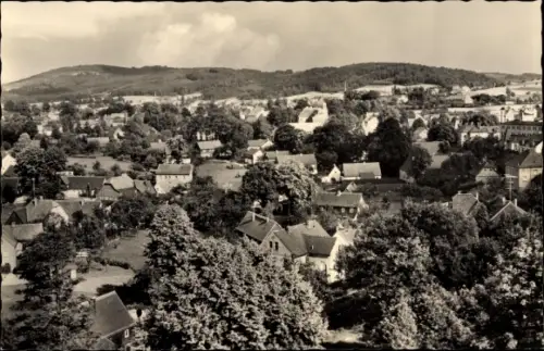 Ak Neukirch in der Lausitz, Panorama