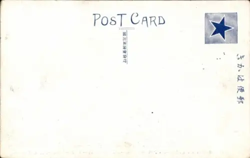 Ak China, Geschütz, Waffengattung