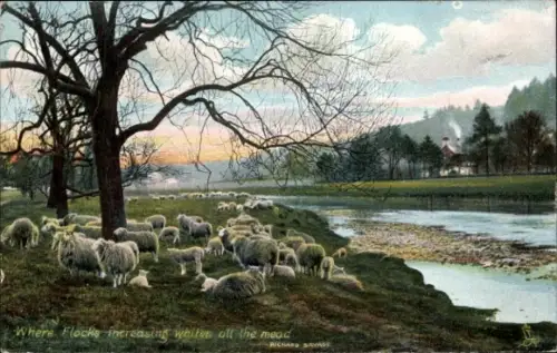 Ak Schafherde, Flusspartie
