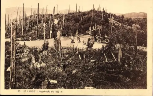 Ak Collet du Linge Lingekopf Elsass Haut Rhin, Teilansicht