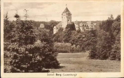 Ak Luxemburg, Schloss Berg