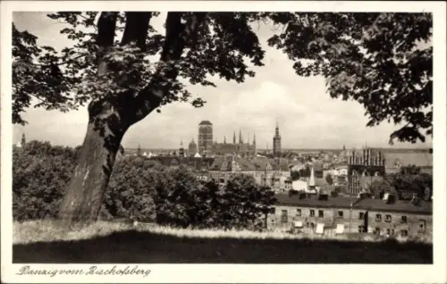 Ak Gdańsk Danzig, Danzig vom Bischofsberg, Stadtansicht, Bäume im Vordergrund