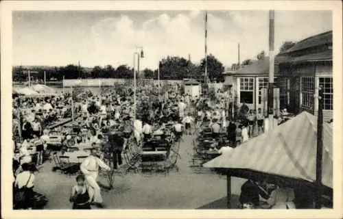 Ak Seeburg am süßen See Mansfelder Land, Gasthof zur Forelle